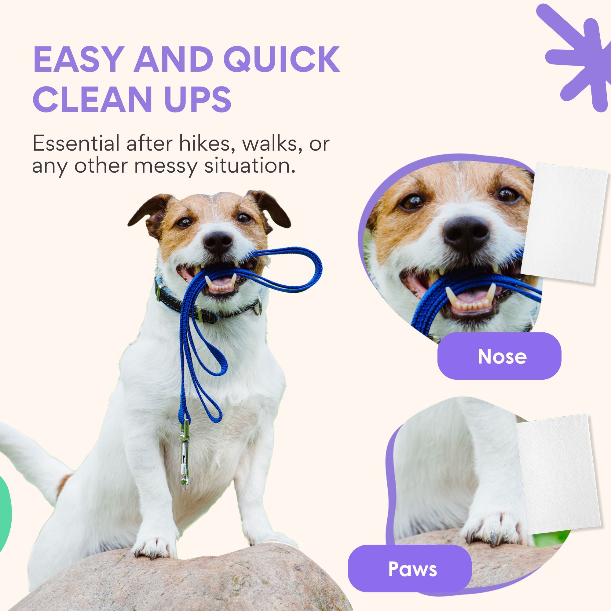 A happy dog outdoors, with text promoting quick and easy cleanup after walks or messy activities. Two focus areas, the nose and paws, emphasize practical use for on-the-go grooming with shampoo sheets.