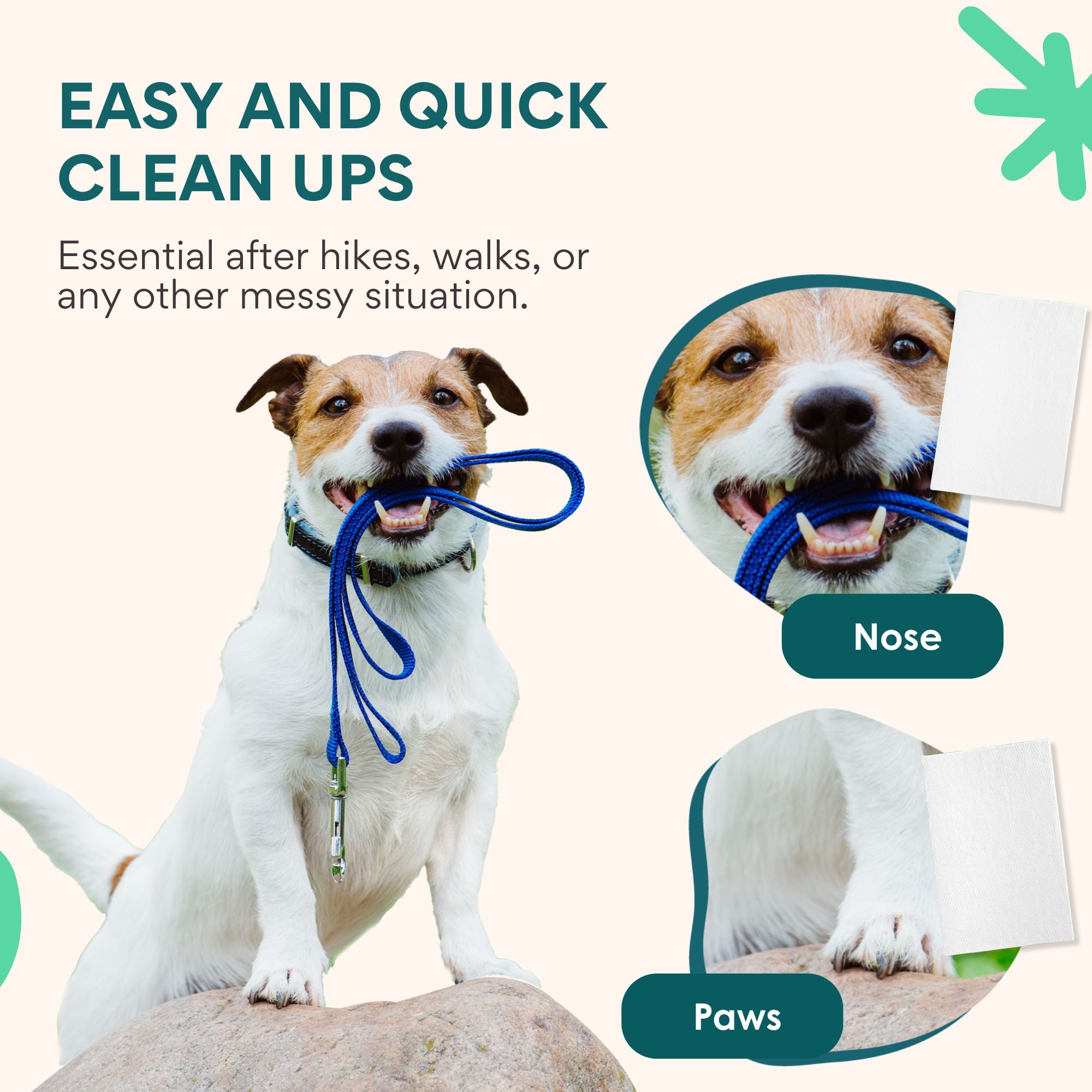 A happy dog outdoors, with text promoting quick and easy cleanup after walks or messy activities. Two focus areas, the nose and paws, emphasize practical use for on-the-go grooming with shampoo sheets.